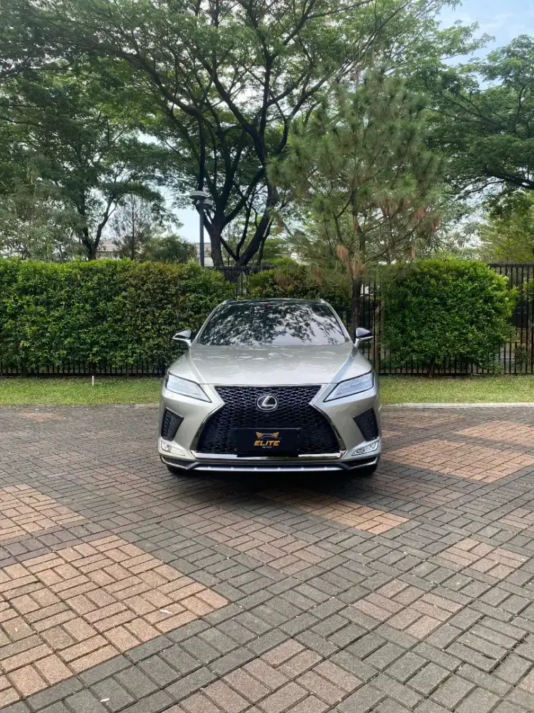 Lexus RX 300 F Sport 2021