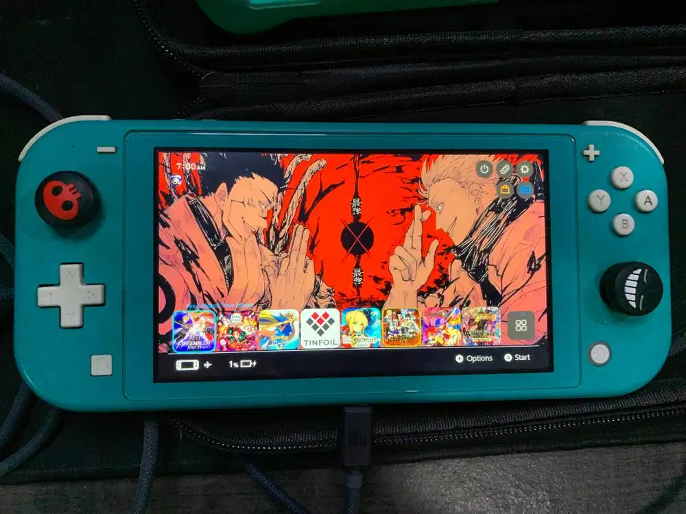 Nintendo Switch Lite Dual Boot