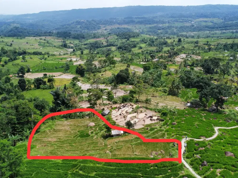 Dijual Murah Tanah Sawah Produktif 2741 m2 di Bojong Purwakarta