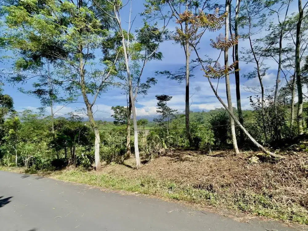 Dijual Murah Tanah Pinggir Jalan Luas 480 m2 SHM di Bojong Purwakarta