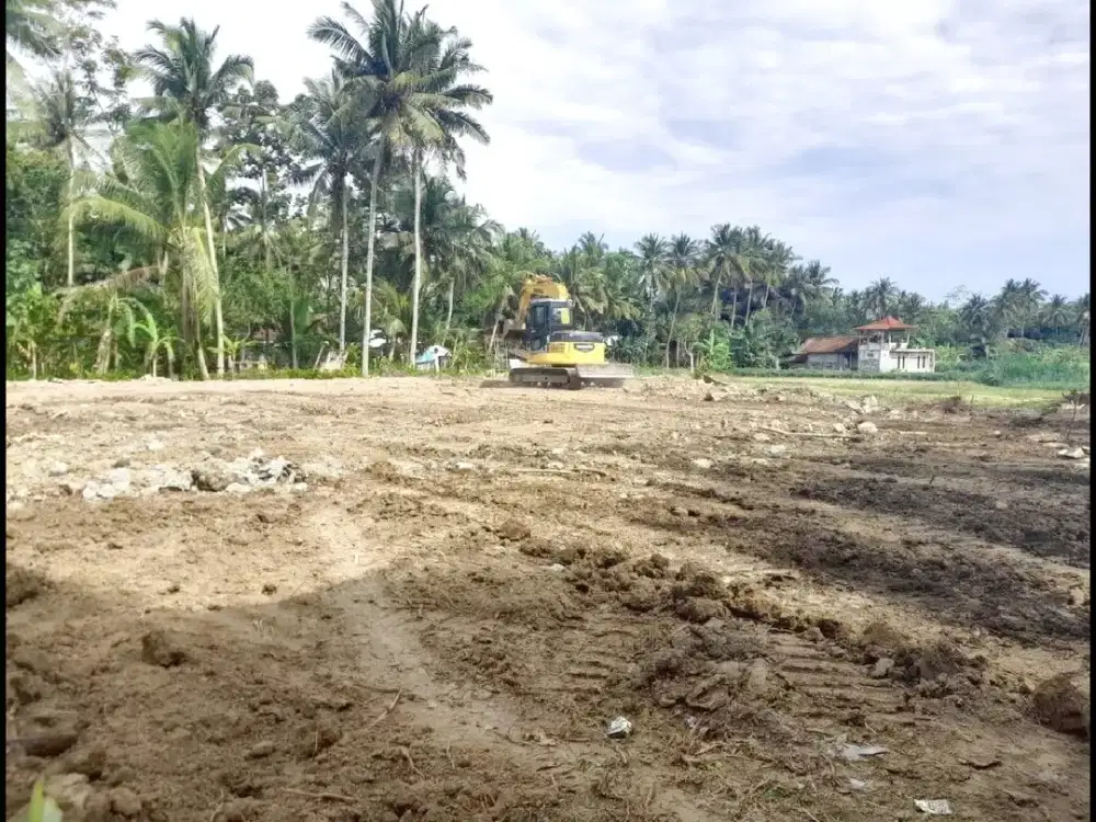 Dijual Tanah Kulur Kulon Progo Dekat Bandara YIA