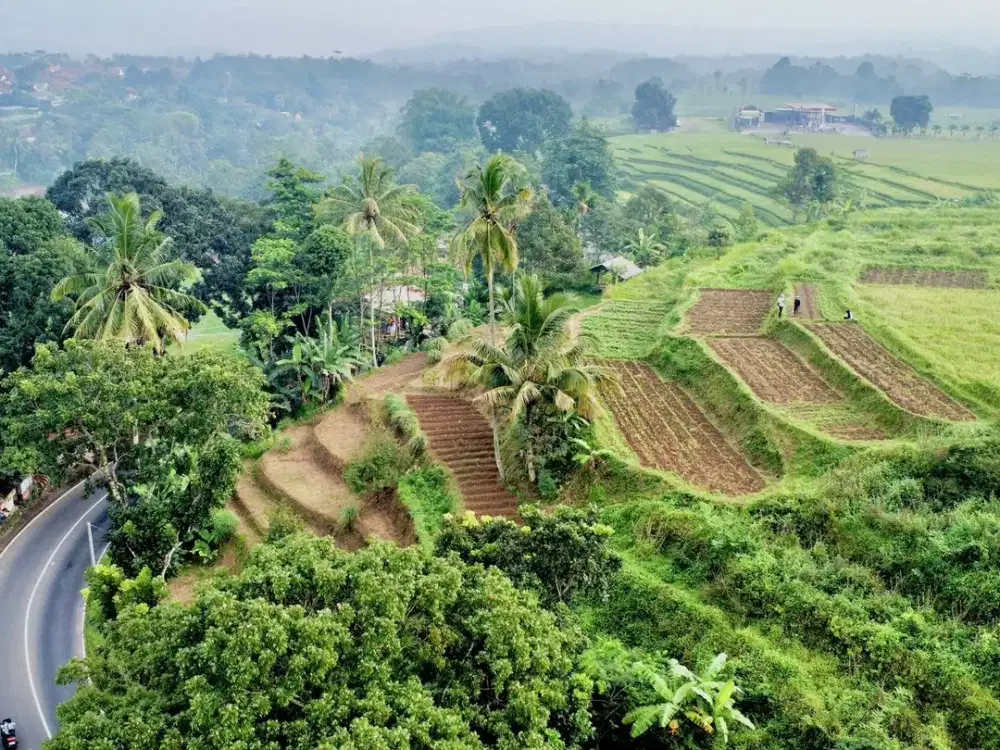 Dijual Murah Tanah Pinggir Jalan Raya 2660 m2 Sagalaherang Subang