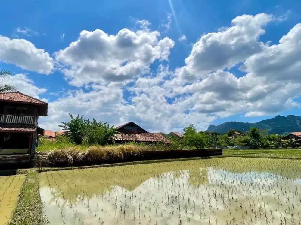 Tanah + Sawah + Kolam Ikan + 7 Kontrakan Purwakarta Dijual Murah