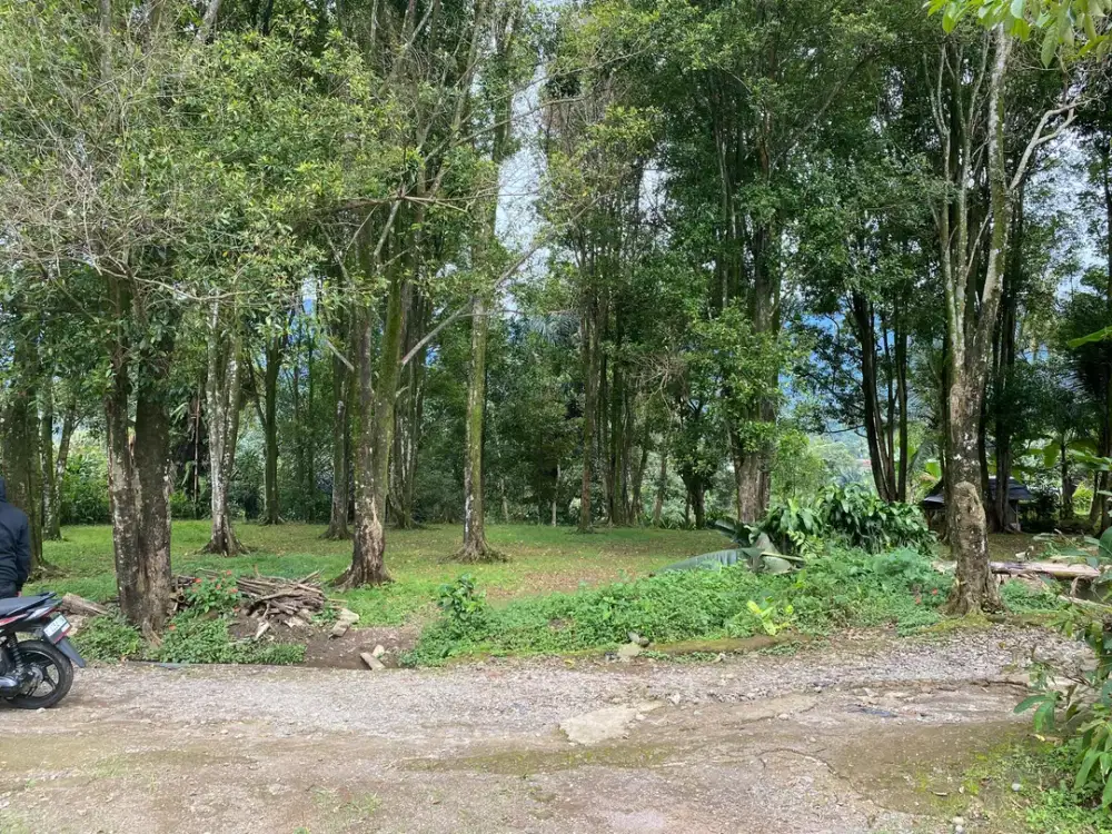 Dijual Murah Tanah Kebun Cengkeh Ada Air Mengalir Bojong Purwakarta