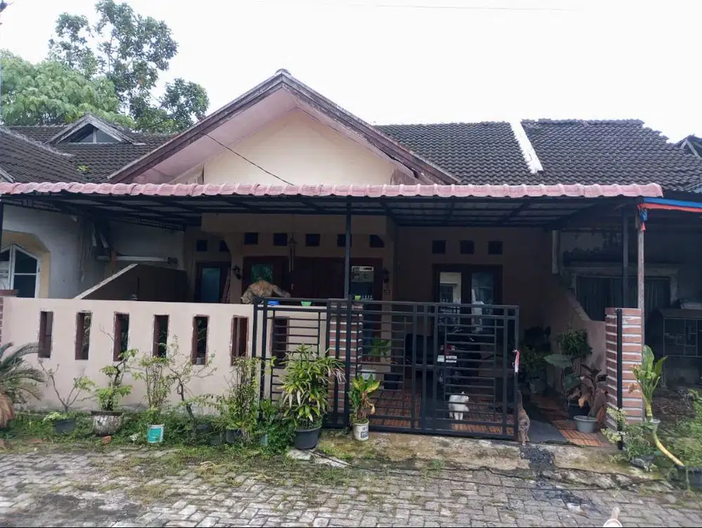 Dijual Rumah 3 Tingkat (Lantai 3 Rooftop) Padang Hijau