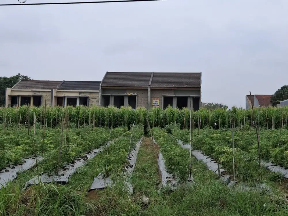 Tanah Strategis Joyo Agung Dekat Kampus Kota Malang