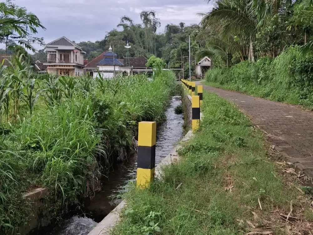 TANAH MURAH DEKAT WISATA GUNUNG BROMO MALANG
