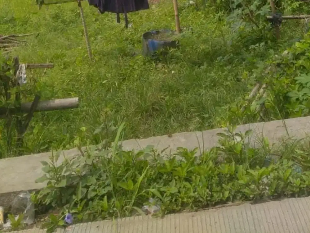 Dijual lahan kosong maja