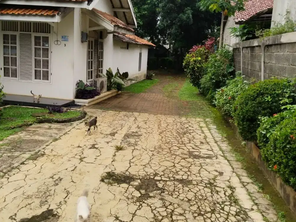 DIJUAL TANAH BESERTA 4 BANGUNAN TANPA PERANTARA