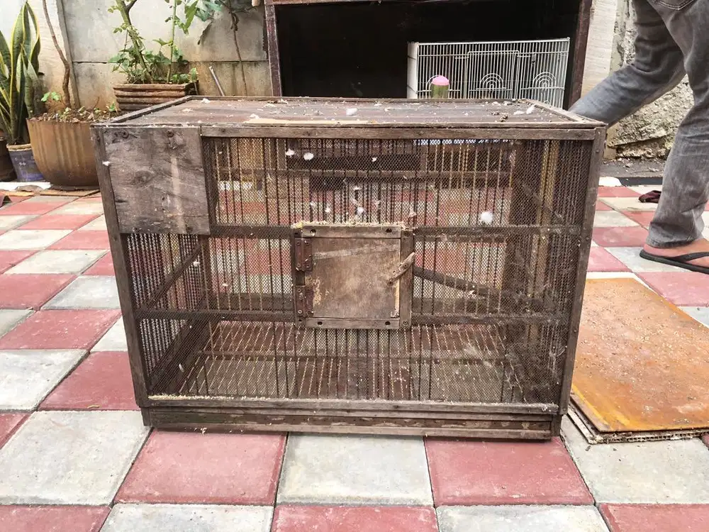 Kandang burung kenari