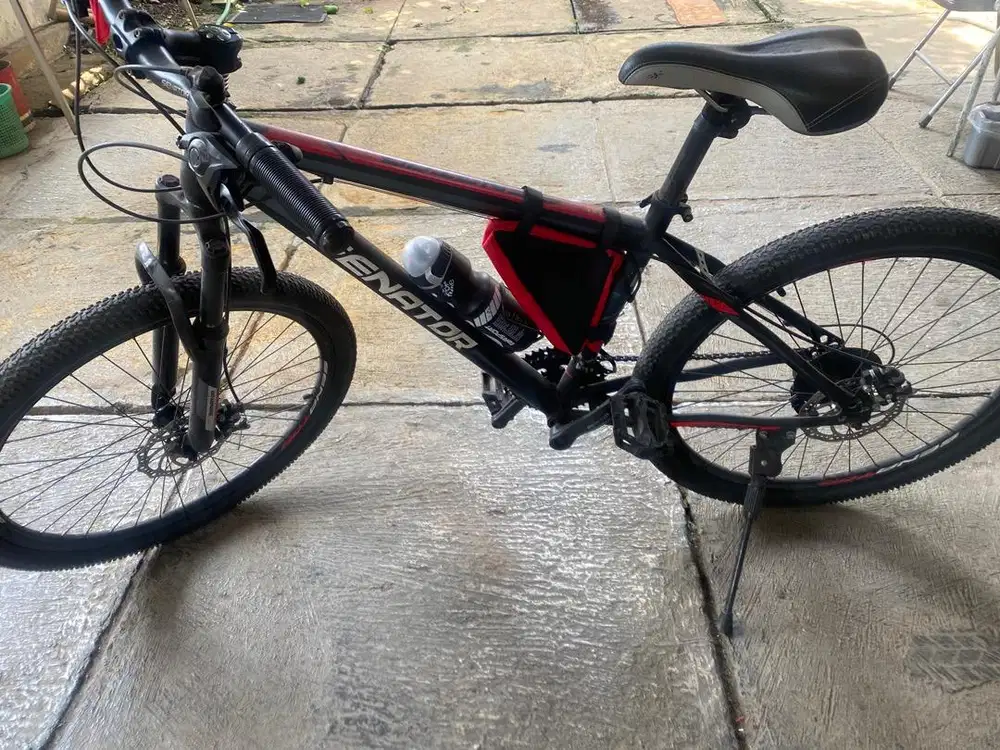 Sepeda senator mulus