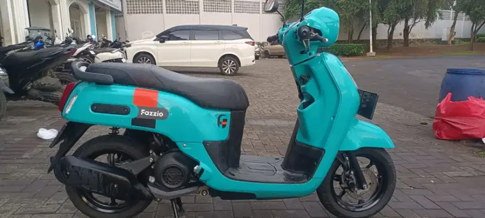 Fazzio 2023 KM 11 rb