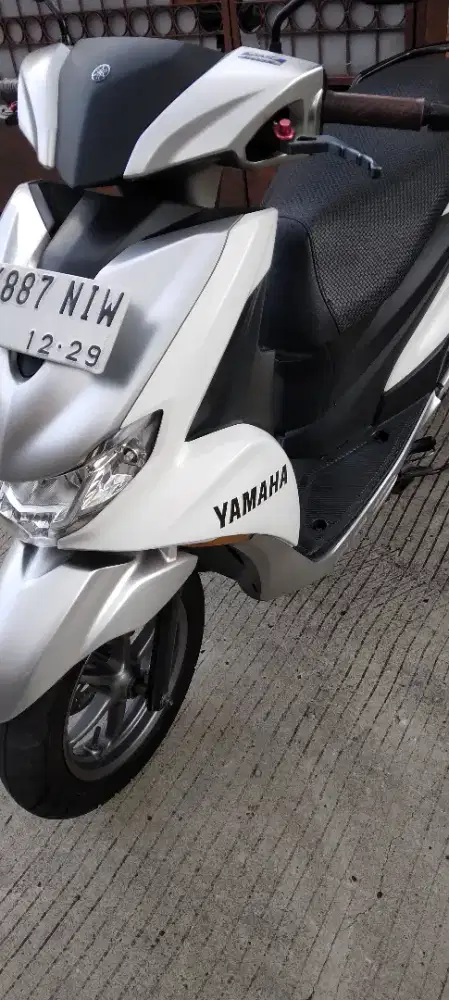 Freego 2019 pajak hidup