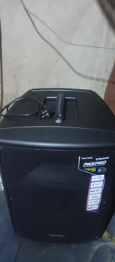 Speaker Polytron PasPro 15 inch