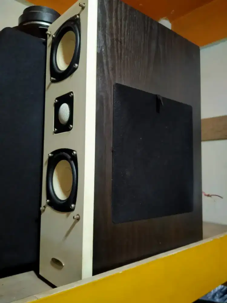 Speker karaoke 5 inch LSI