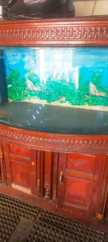 Aquarium kabinet