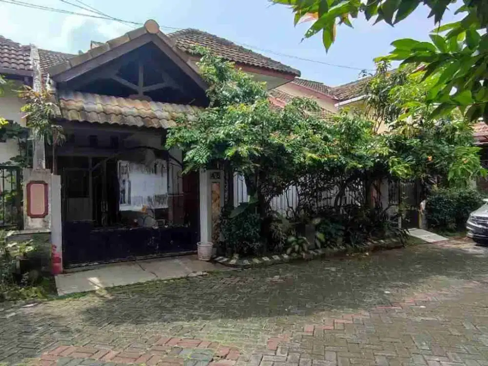 Strategsi! Rumah Kalpataru Suhat Dkt Kampus UB