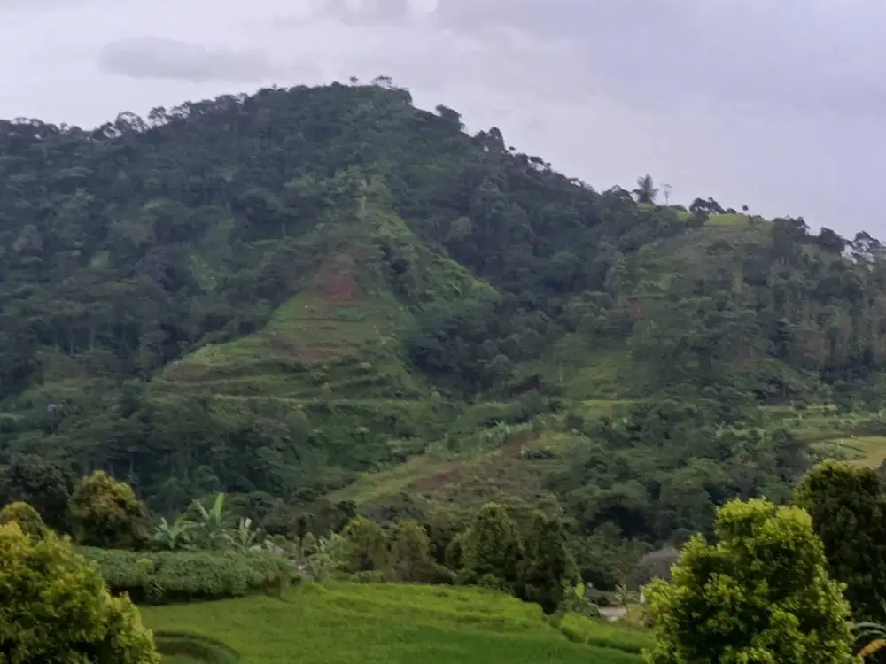 lokasi view gunung Air melimpah Buat villa & yayasan di bogor timur