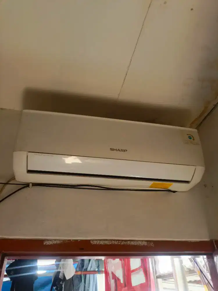 AC Sharp 1 PK indoor & outdoor