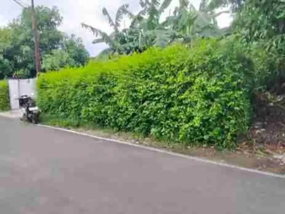 Dijual Tanah Di Baturan Colomadu