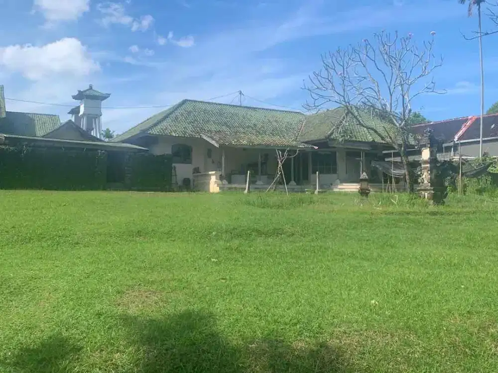 Tanah PREMIUM Strategis Jl Kuwun Kerobokan