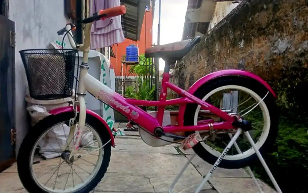 Sepedah anak cw untuk usiab6 sampai.8.tahun