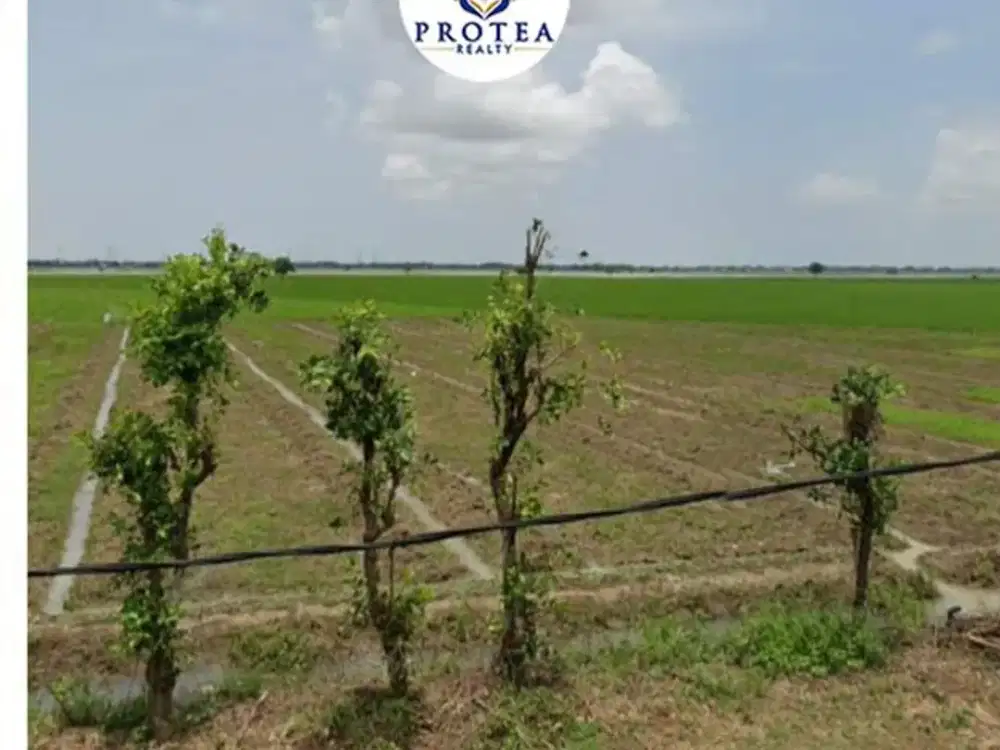 DIJUAL TANAH LUAS DI BEKASI UTARA