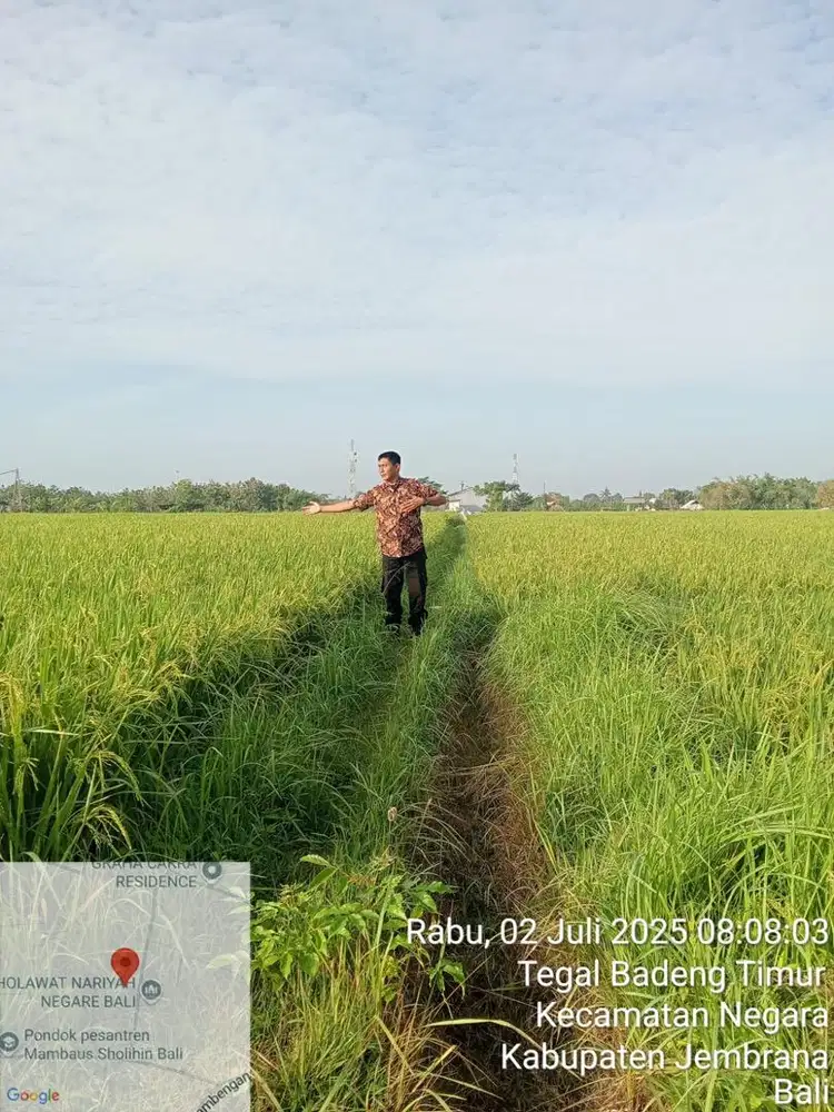 Di Sini Mimpi dan Nilai Investasi Bertemu