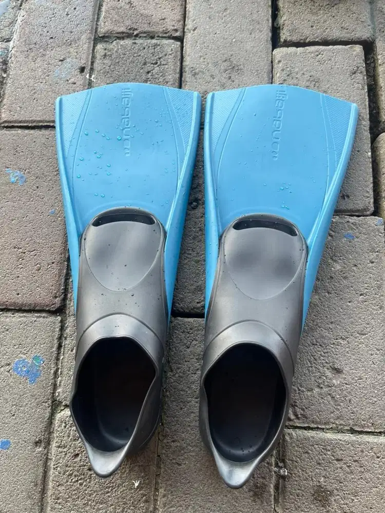 Fints renang merek nabaiji