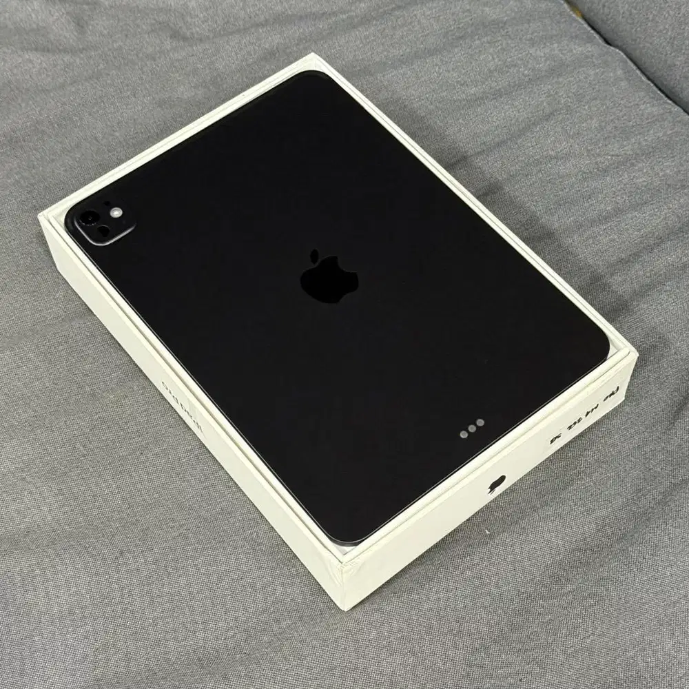 Ipad Pro M4 11 256GB Wifi Space Black