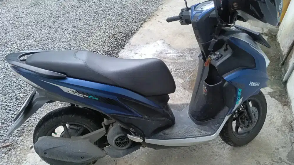 Freego istimewa 2024