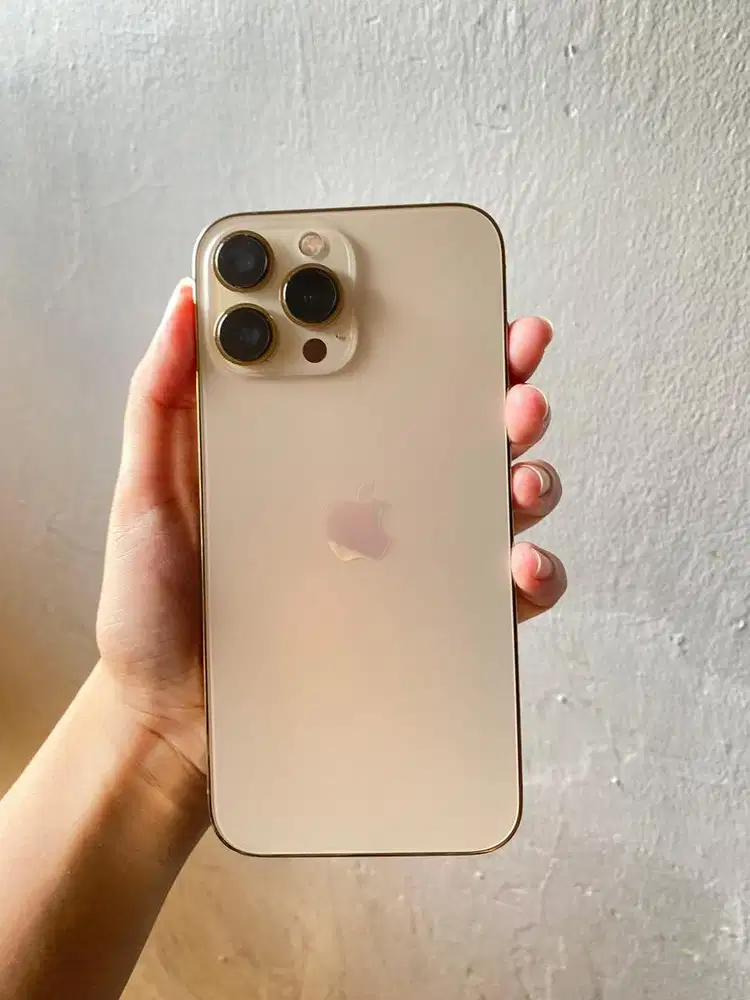 Ip 13 promax 128 inter masih garansi toko