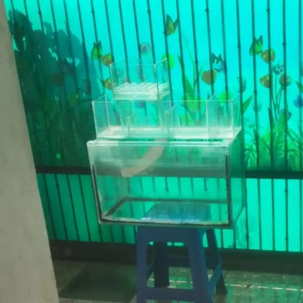Akuarium aquarium 60x30x35cm plus filter talang