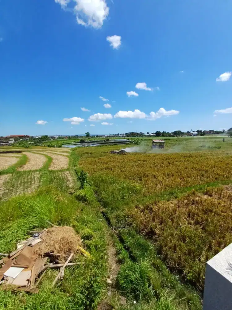 TANAH 4 ARE KESAMBI KEROBOKAN VIEWW SAWAH AREA VILLA