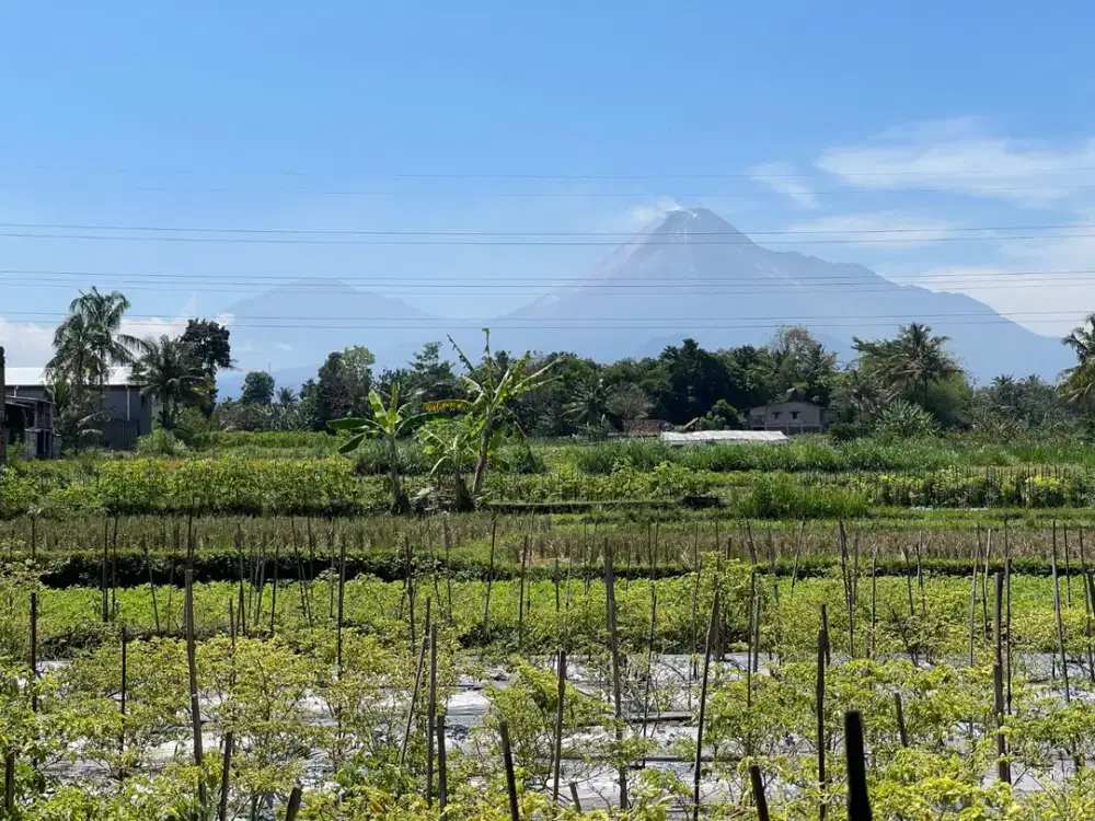 Tanah SHM Jogja – Lokasi Strategis Dekat Jejamuran & SCH