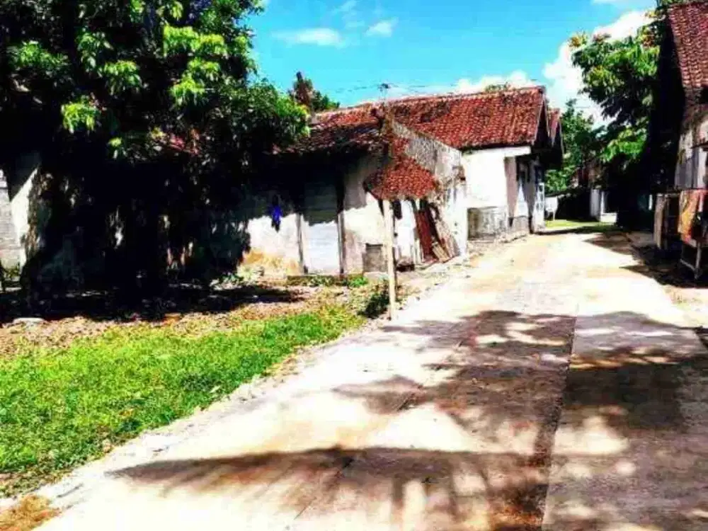 Tanah Dijual View Sawah Dekat Kampus Alma ata Dan Umy Yogyakarta