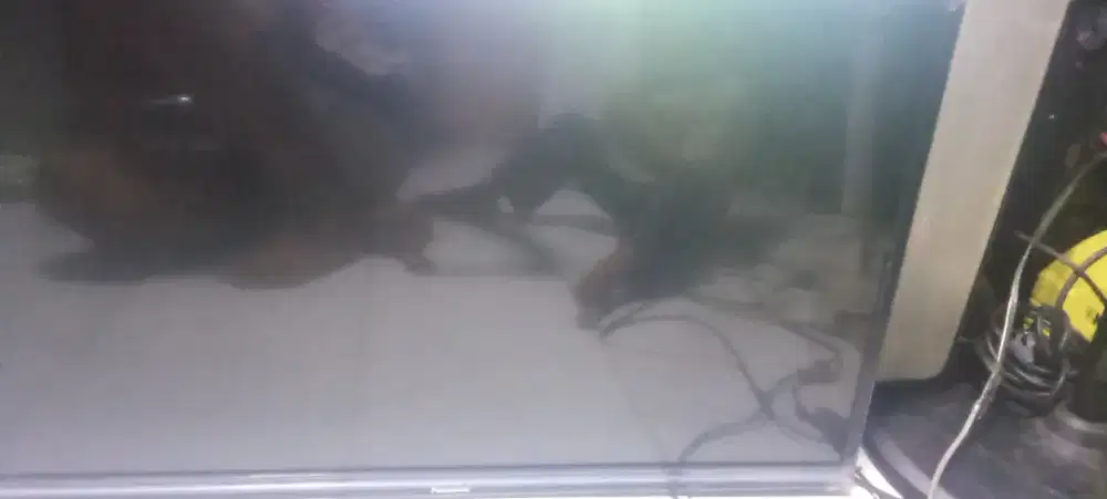 Tv led 32 panasonic digital