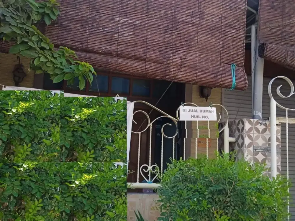 rumah dijual kebonsari elveka surabaya