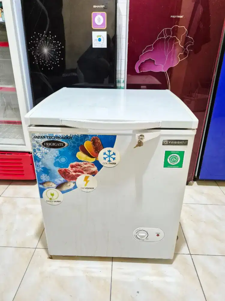 FREEZER FRIGIGATE 100L ORI MULUS