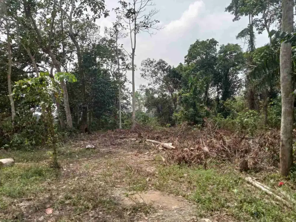 Dijual cepat tanah di Lebak Banten luas 3000 m