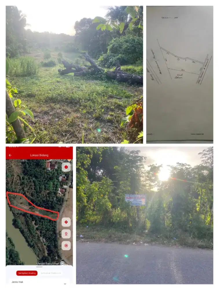 Di jual tanah kebun dengan luas 2.284 m2