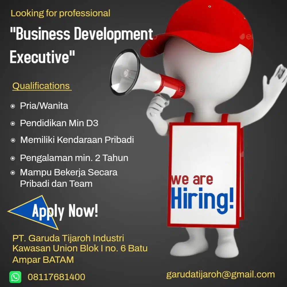 Business Development Executive
