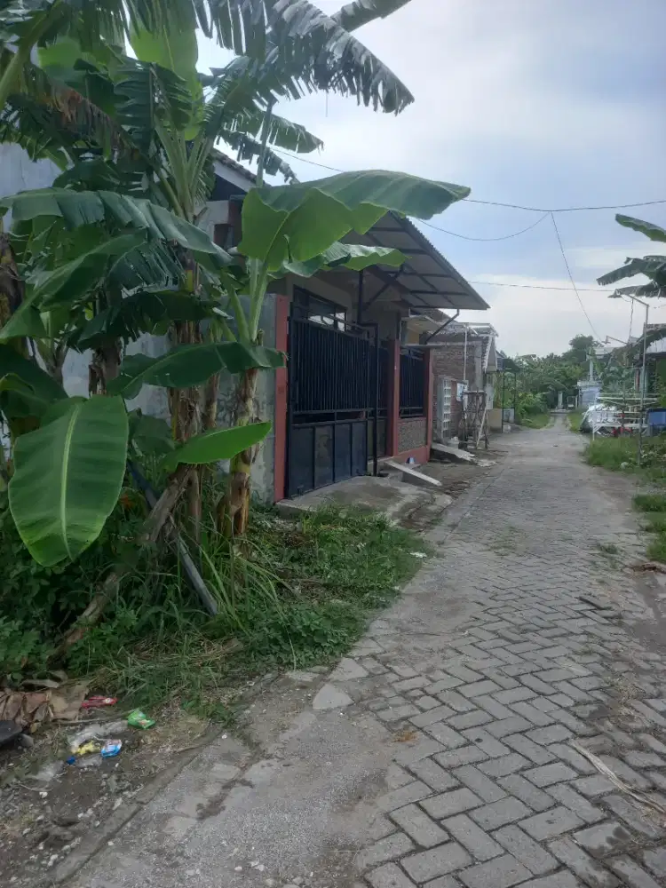 TANAH KAPLING DEKAT ALUN ALUN MOJOKERTO