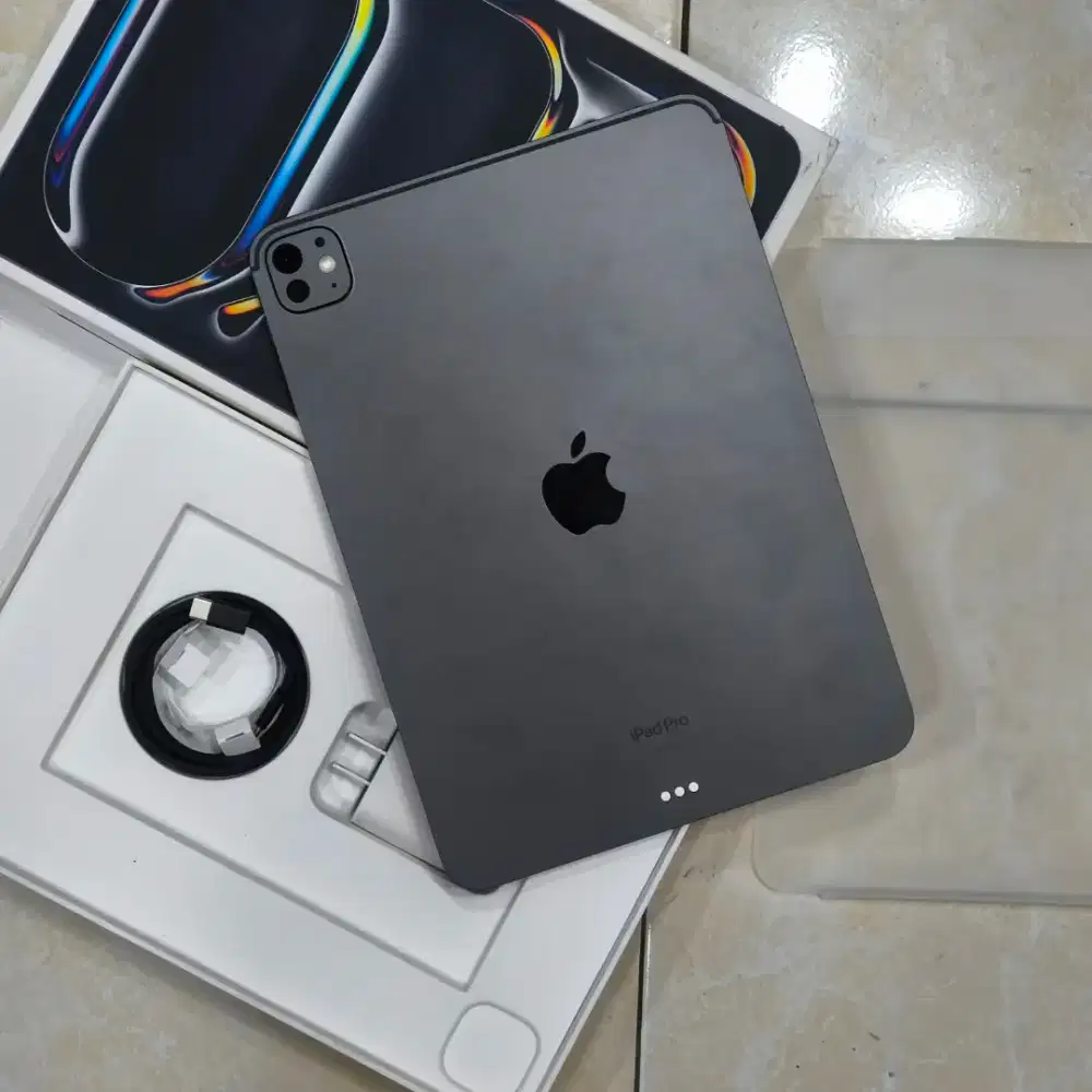ipad pro m4 256GB mulus