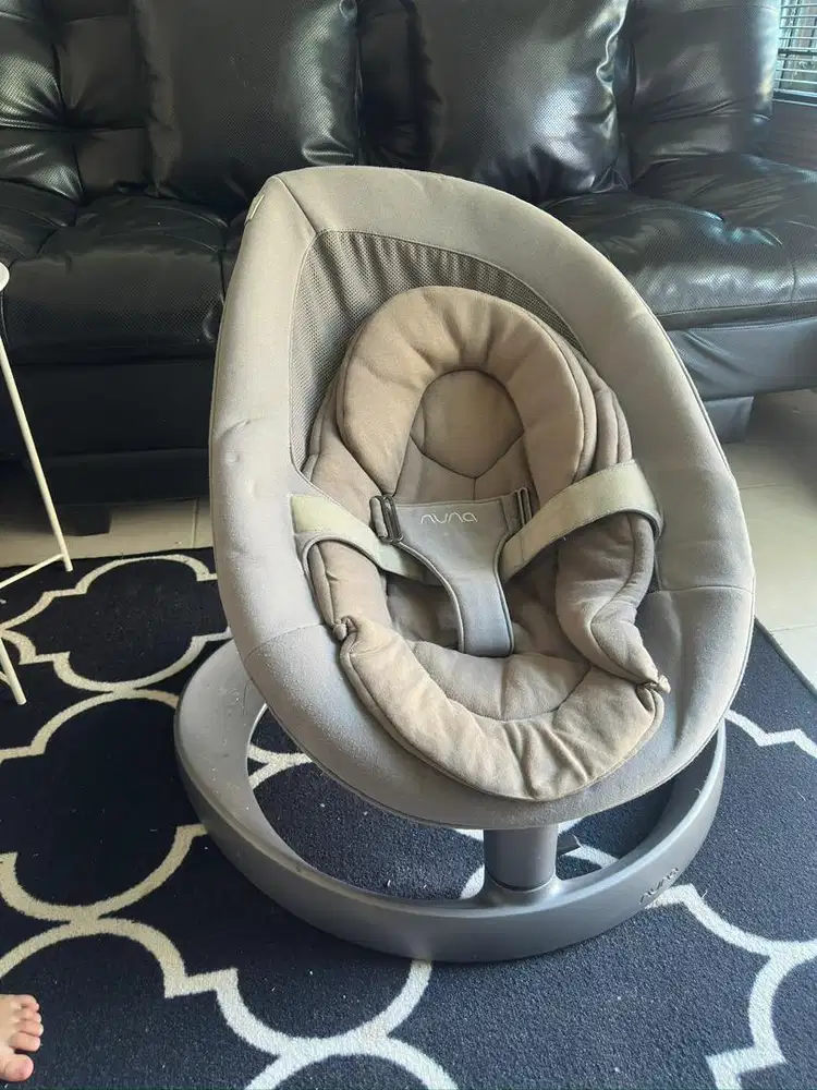 Bouncher Ayunan Nuna Leaf Grow