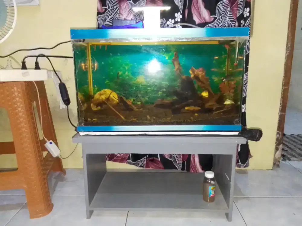Dijual 1 set akuarium + meja