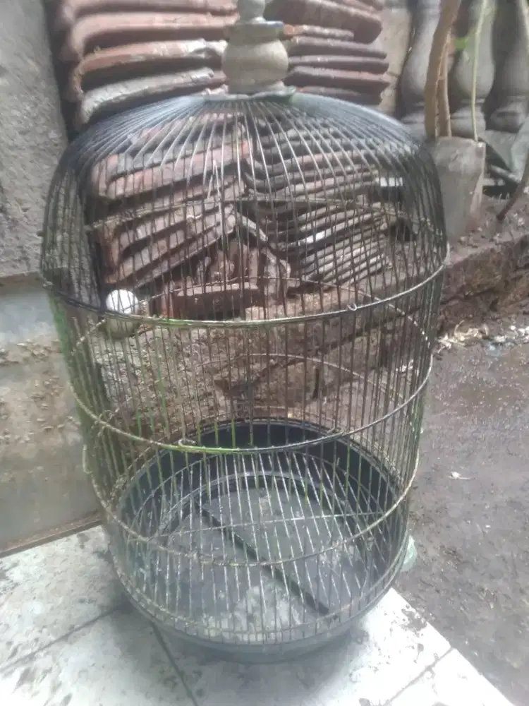 Sangkar kapsul besar