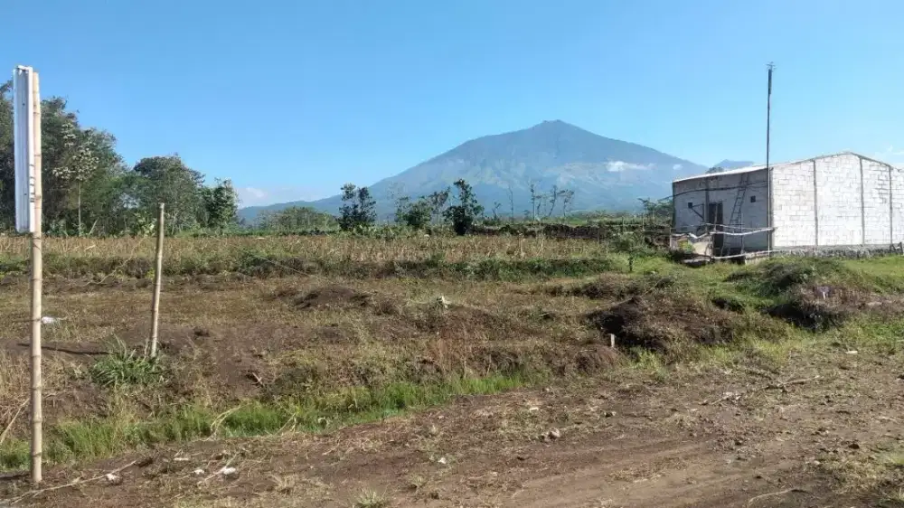 Kavling singosari dekat jalan raya surabaya malang