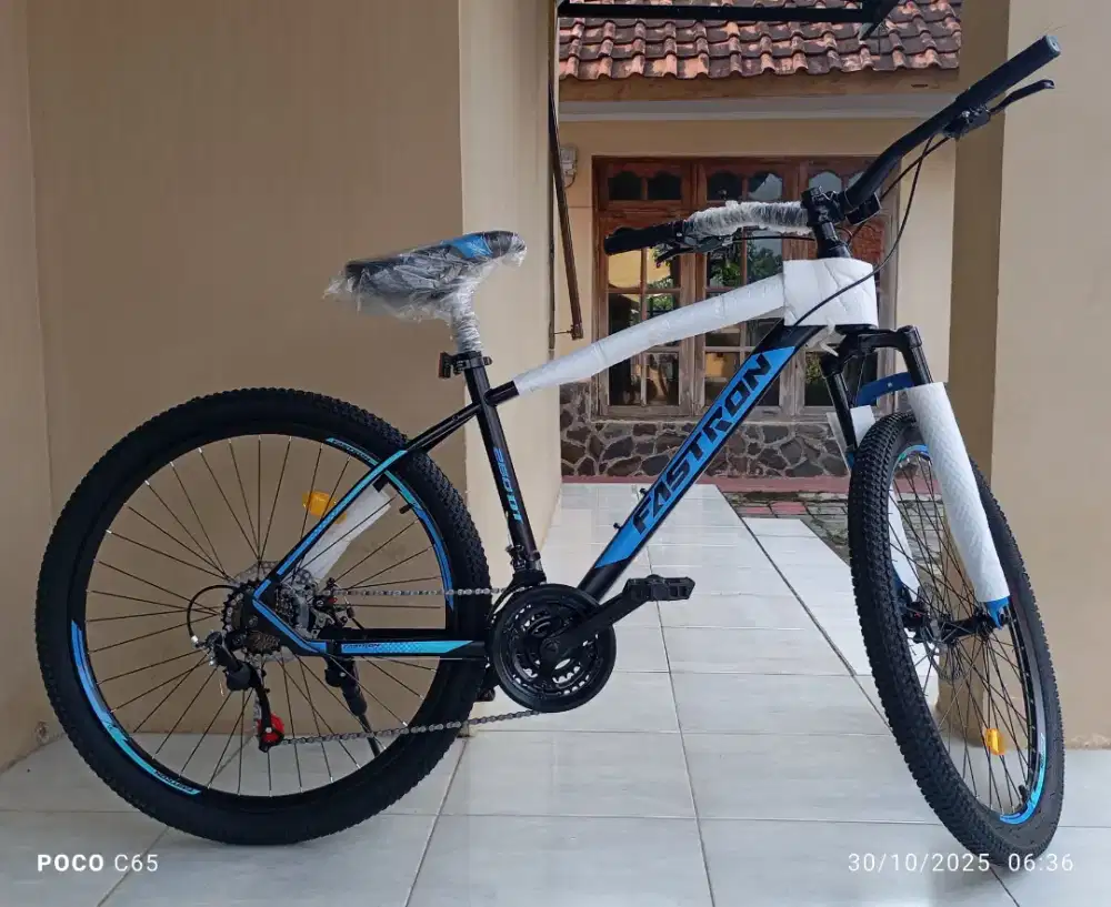 Sepeda Gunung Fastron 260DT (Baru Bukan Bekas)