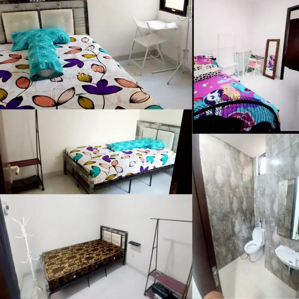 Kosan Exclusive  Lavon Swan City